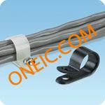 CCH31-S10-C