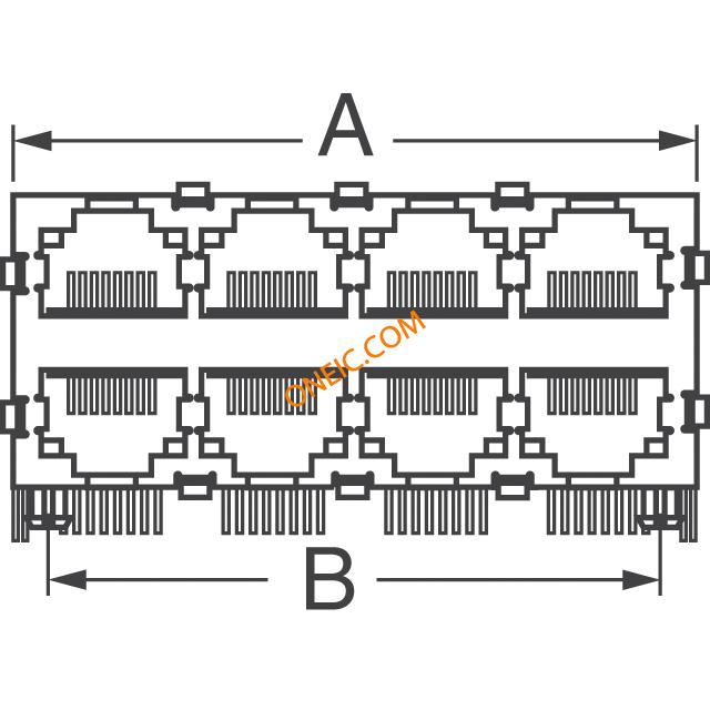55569 Series