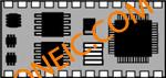 BS2P24-IC