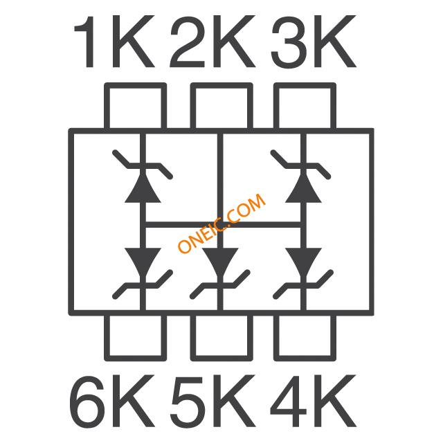 RSA6.1U Series Circuit
