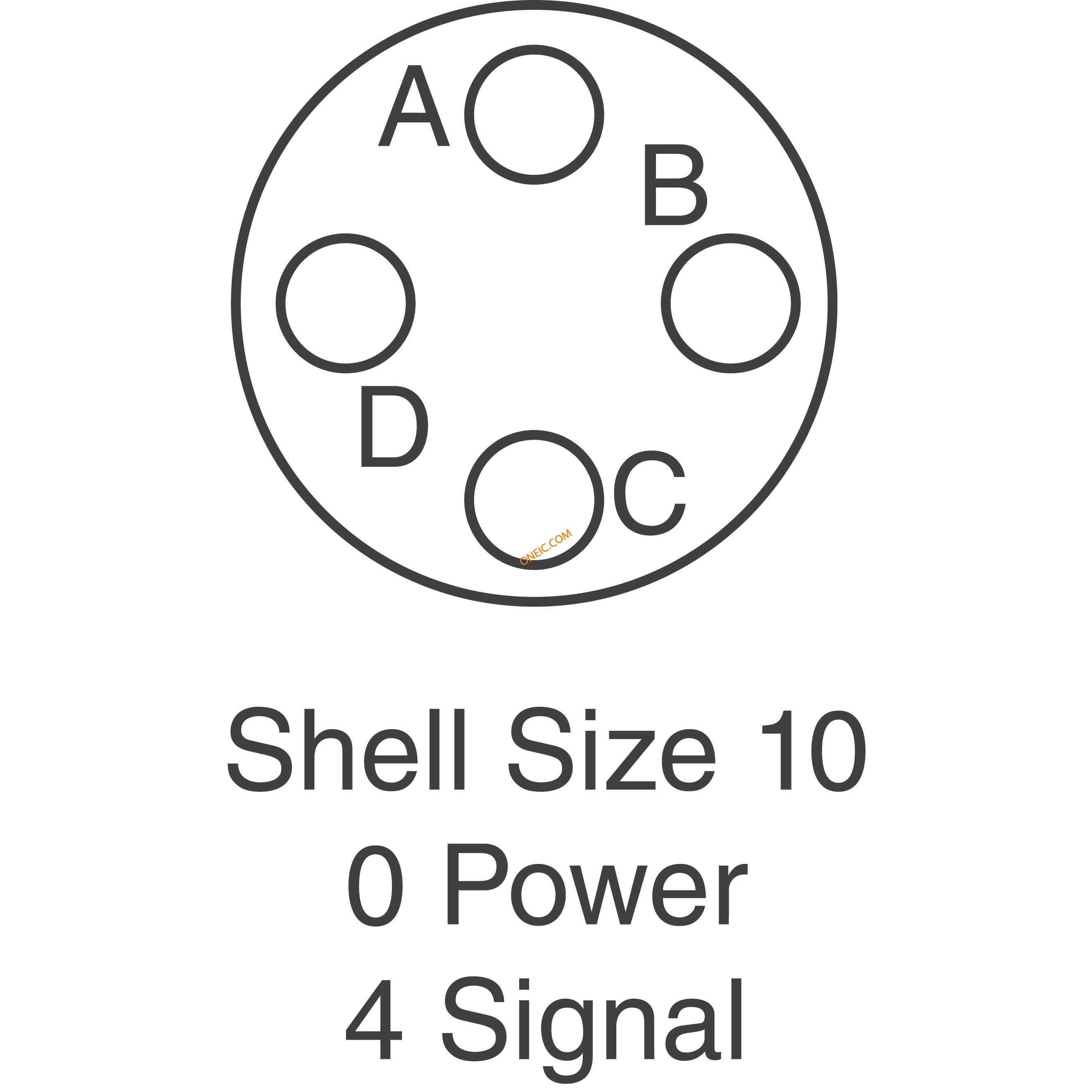 Shell Size-10