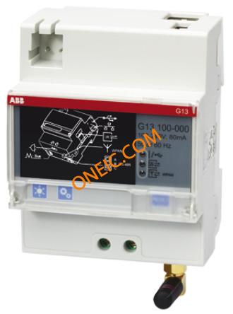 G13 100-000