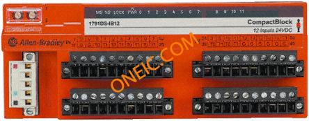 1791DS-IB12
