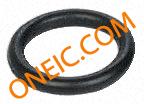 BS009 VITON