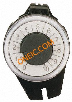 C21RP03