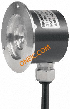 BMSK 42L1G05T09/00065