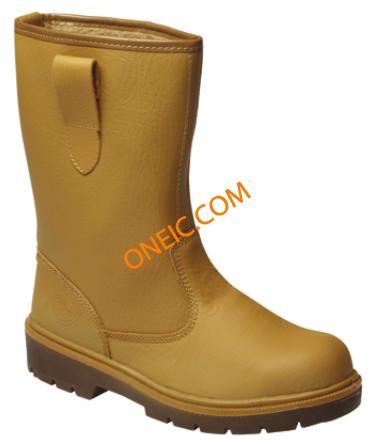 FA23350 Sz6