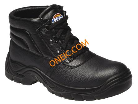FA23330 Sz11