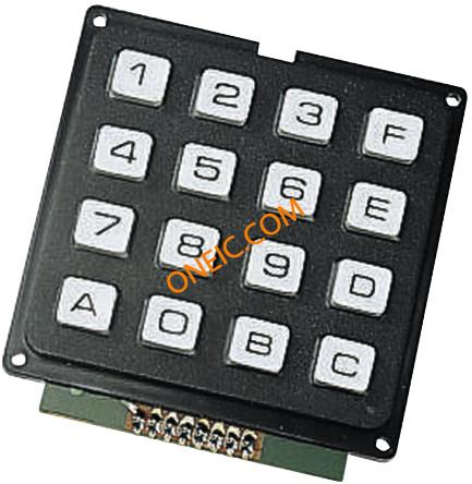 ECO.16200.06