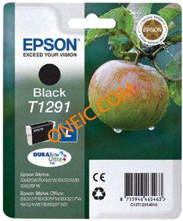 C13T12914010