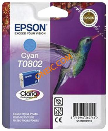 C13T08024010