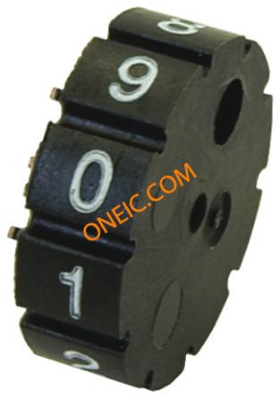 DH101ARSMT004