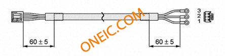 LC3F2-1-C1-02-1