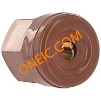 RS100GR