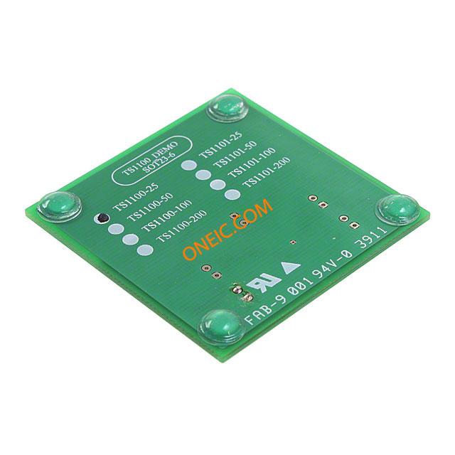 TS1100-25DB