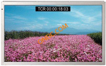 NL8048BC19-02C