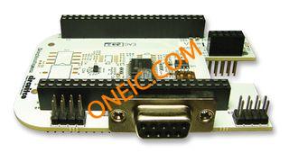BB-BONE-SERL-04