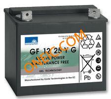GF12025YG