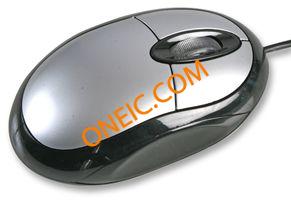 RP019