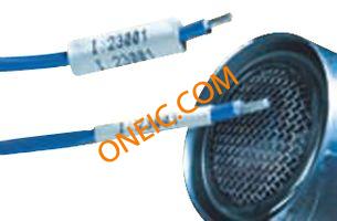 PSPT-187-1-WT